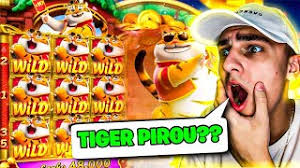 qual melhor hora para jogar fortune tiger para mobile